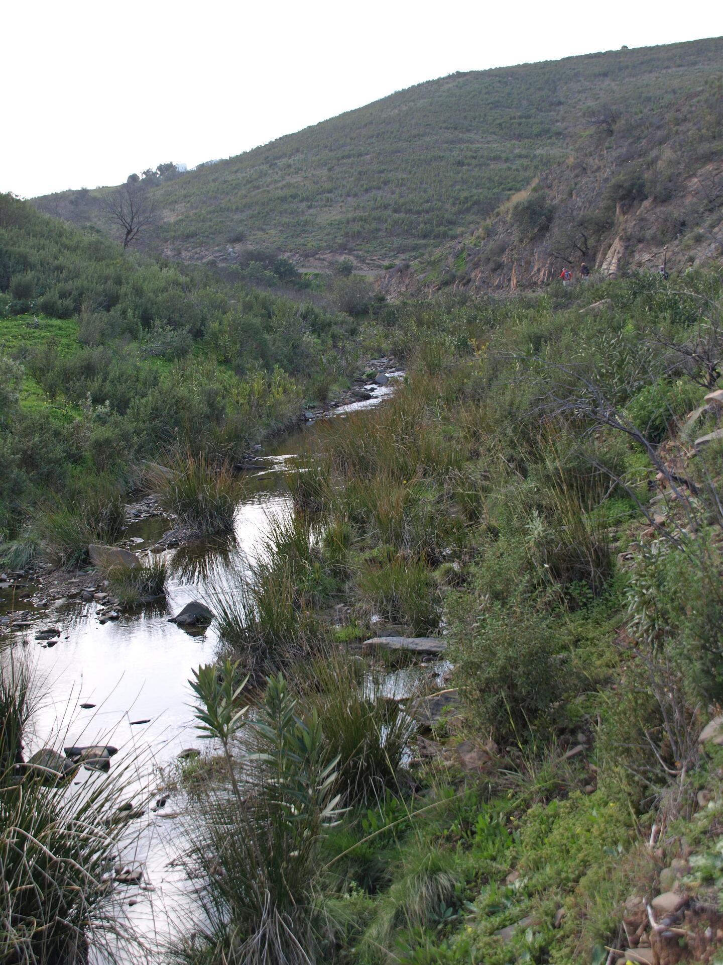 PR1 Corte Antonio Martins boven VN de Cacela